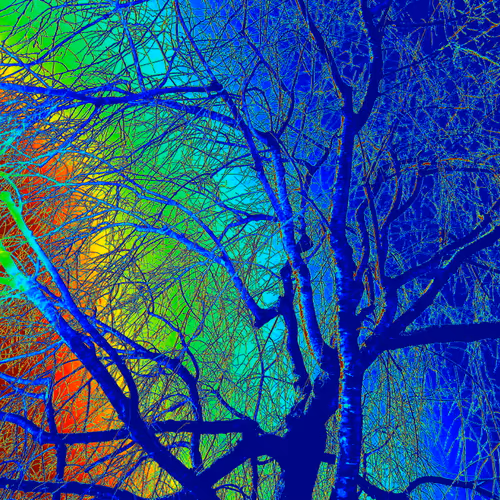 Abstract painting of Japan's wonderful landscape