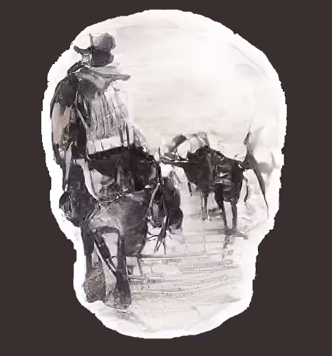 Ai Skulls Genesis - old - old