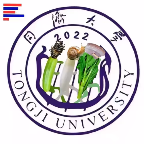 Tongji Everydays