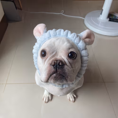 Tonybaby