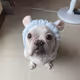 Tonybaby