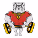 TOP DOG Card Collection Series 1