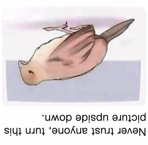 Random696969696969 - old