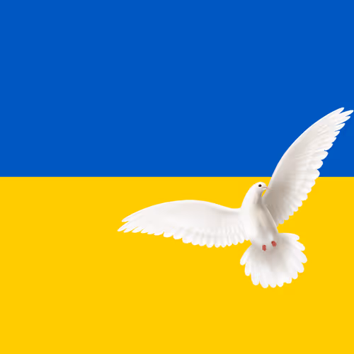 Topo Beauties Ukraine