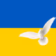 Topo Beauties Ukraine