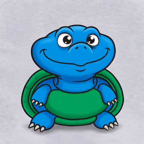 Tortoise Cam