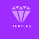TORTOISE_NFT