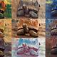 Tortoise  Art Collection
