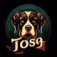 TOSA INU COLLECTIONS