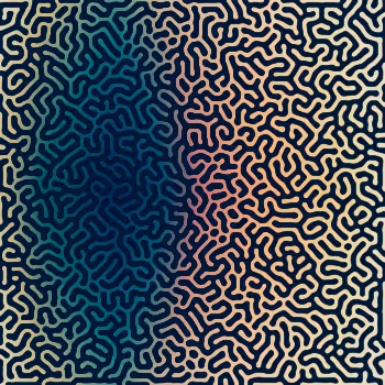 ToTo Mind Collection