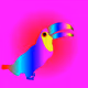 Toucan Bird