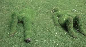 touch the grass