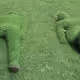 touch the grass