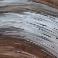 Tourbillon de la vie