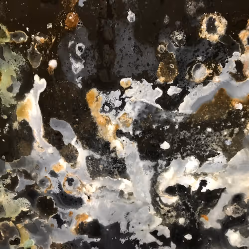 tourbillons graisseux