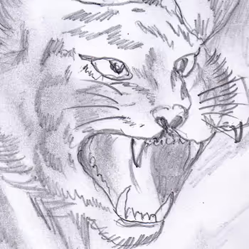 Pencil Drawing1 - old