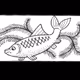 Train your Fishes