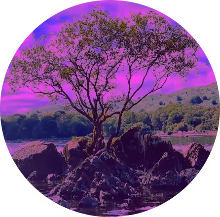 Tranquillity in a Post Crypto World