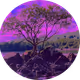 Tranquillity in a Post Crypto World