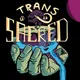 Trans is Sacred