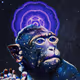 Transcendental Monkeys Collection