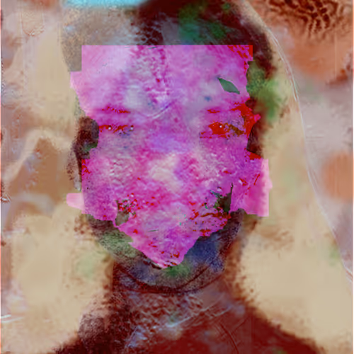 Transforming Faces