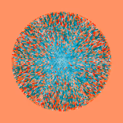 Transitions by Jason Ting x Matt Bilfield