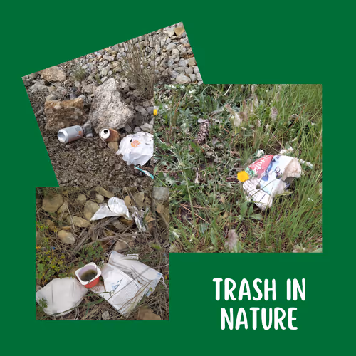 Trash in Nature Collection