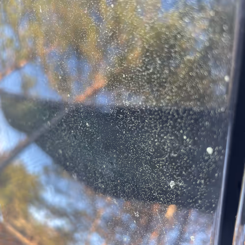 trasgtrashyrash - old