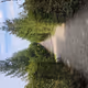 travel and wanderings with nature