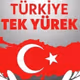 Turkey Earthquake 2023