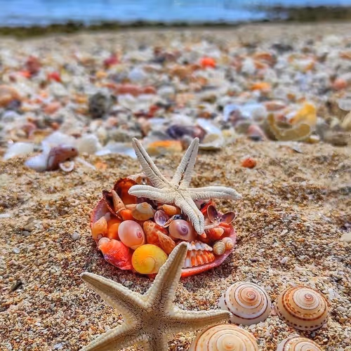 Treasure of Famous celebrities NFTs