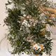 Treasure of NatuR3 - old