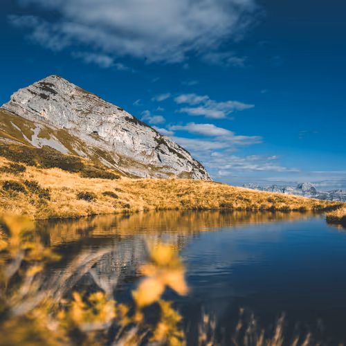 Treasure of the Peaks