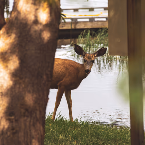 Treasures of BC - old
