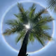 Treasures_of_Nature.