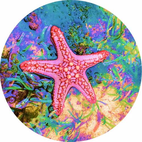 Treasures of Tanzania