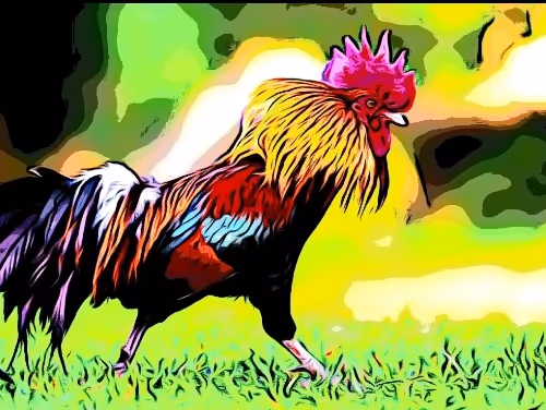 Treasures of the barnyard