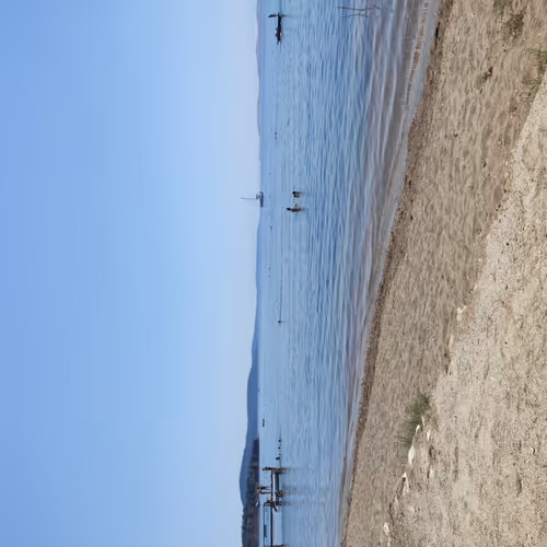 Treasures of the Life in Meta - old