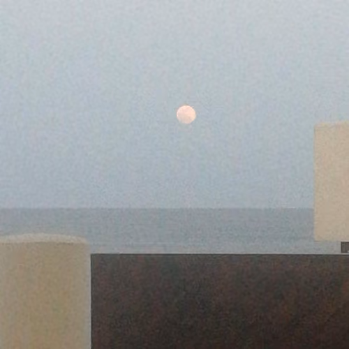 Treasures of the moonlight