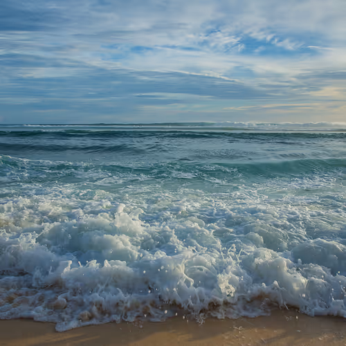 Treasures of the Ocean - Stand with Ukraine - old
