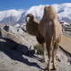 Treasures of the Pamirs