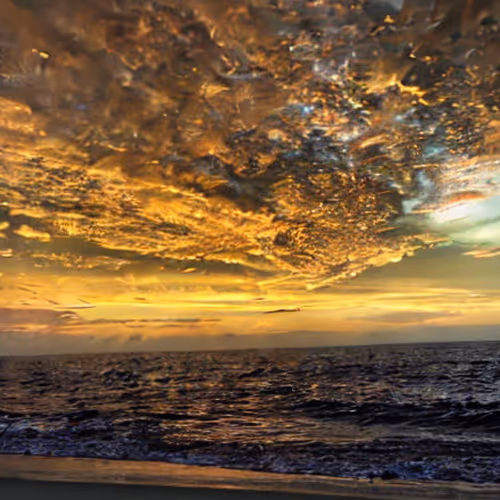 Treasures sea l - old