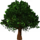 Tree Artwork