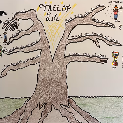 Tree Of Life by Derek L.