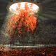 Treee of light