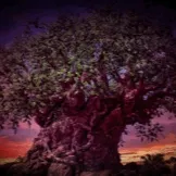 Tree Of Life by markzuniverse