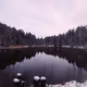 trees-and-woods