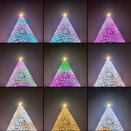 NF Tree