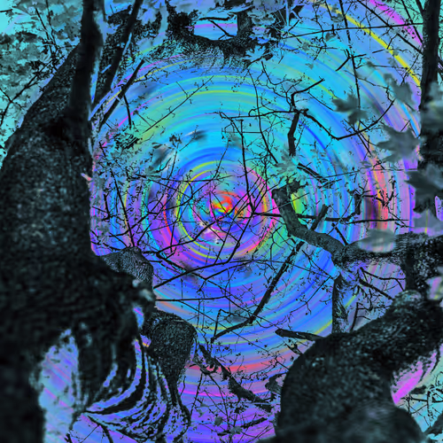 Trees the Inspiration